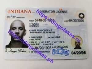 INDIANA(IN NEW)