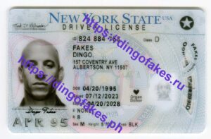 NEW YORK(NY O21 NEW 2022 POLYCARD)